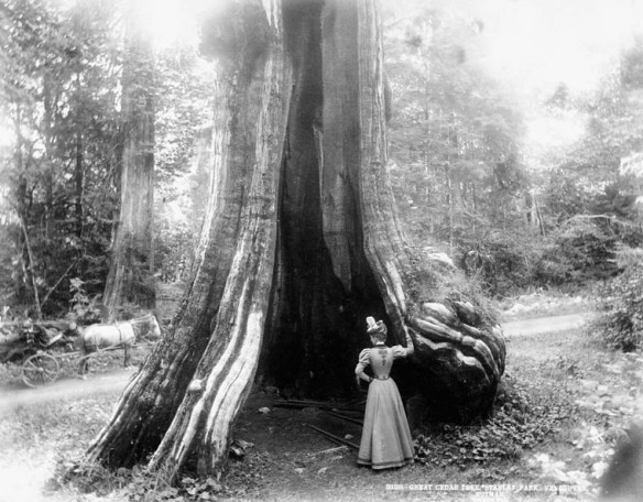 Photographie noir et blanc d’une femme debout au pied d’un immense arbre creux à la base. 
