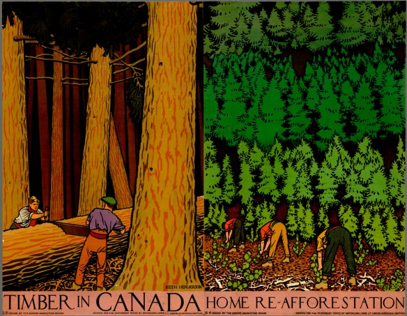 Affiche en couleur montrant deux hommes en train de scier le tronc d’un arbre abattu, à gauche, pendant que trois autres hommes, à droite, plantent des arbres. L’affiche a pour titre : Coupe du bois au Canada.