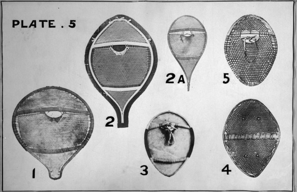 Photographie en noir et blanc montrant six types de raquettes rondes et ovales composées de divers matériaux et styles de lacis.